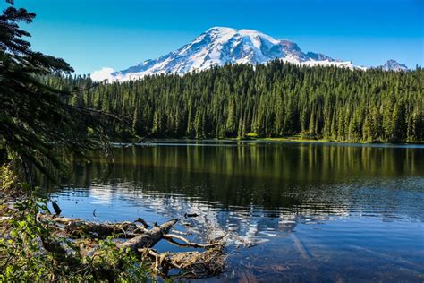 Best Seattle Day Trips Mt Rainier National Park Travel Experience