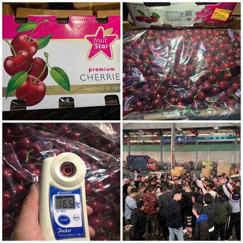 Seasons First Batch Of Chilean Cherries Arrives In Shanghai Produce