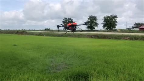 Sembur Racun Padi Menggunakan Drone Agriculture Spraying Drone Hybrid Drone Youtube