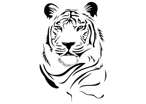 Logo Kepala Harimau Vektor Kepala Harimau Png Dudley Hegmann