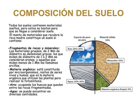 Presentacion Del Suelo Tema 8