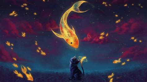 Nature Animals Digital Art Surreal Cat Fish Goldfish