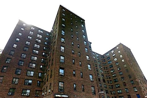 Nycha Receiving Largest Ever Grant For Resident Business Owners From