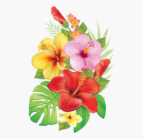 Stock Tropical Drawing Hibiscus Flower Tropical Flowers Png Free