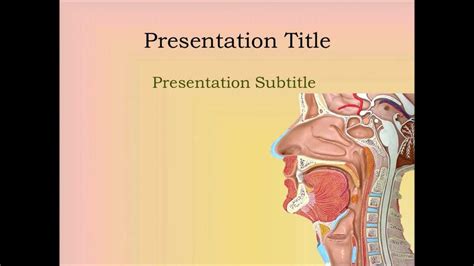 Ent Powerpoint Template Sinus Youtube
