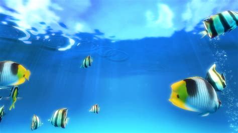 Sim Aquarium Screensaver Desktop Lux