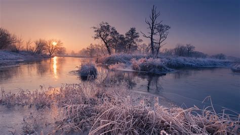 Frost Grass And Trees On River During Sunrise Hd Nature Wallpapers Hd