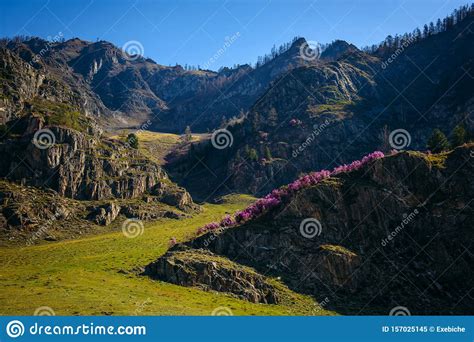 Picturesque View Of Spring Landscape Of Green Meadows And Rocky