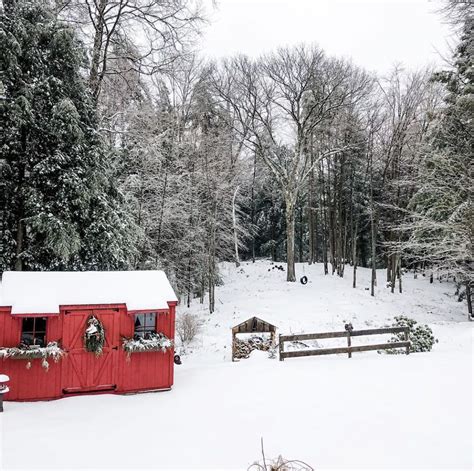 Winter Wonderland Backyard Sheds Backyard House Styles
