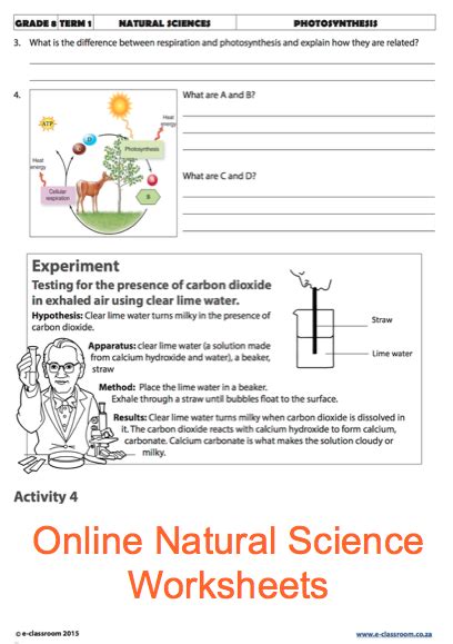 Grade 5 Natural Science Worksheets Term 1 Pdf Math Worksheets For