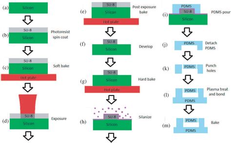 Figure 1 From Optofluidic Lab On Chip Platform For Realtime Sensing