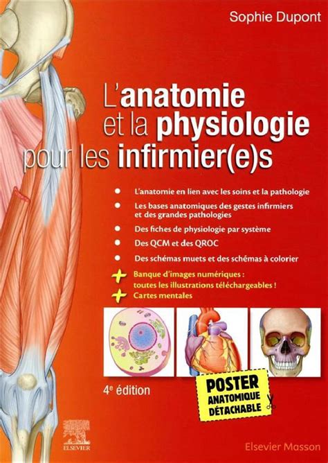 Lanatomie Et La Physiologie Pour Les Infirmieres 4e éditions