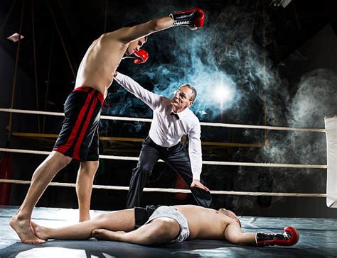 Boxer Knockout Stock Photos Pictures And Royalty Free Images Istock