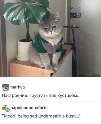 33 Funny Russian Jokes And Puns Laugh Away Right Now
