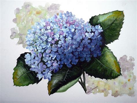 Blue Hydrangea Painting By Karin Dawn Kelshall Best Pixels