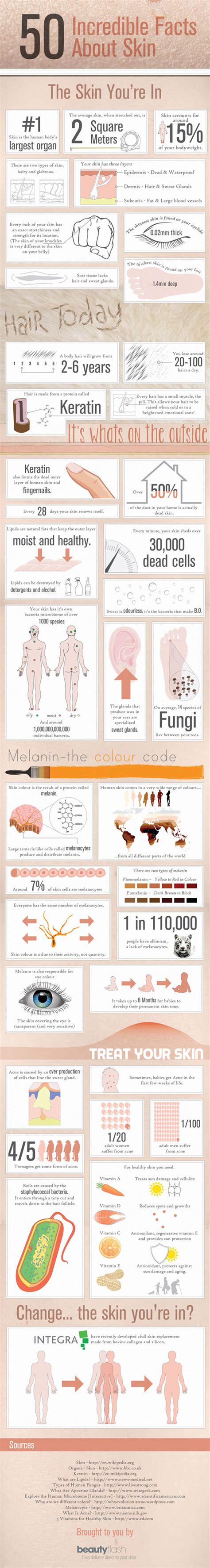 Skin Facts Here Are 50 Incredible Ones Infographic Ct Dermatology