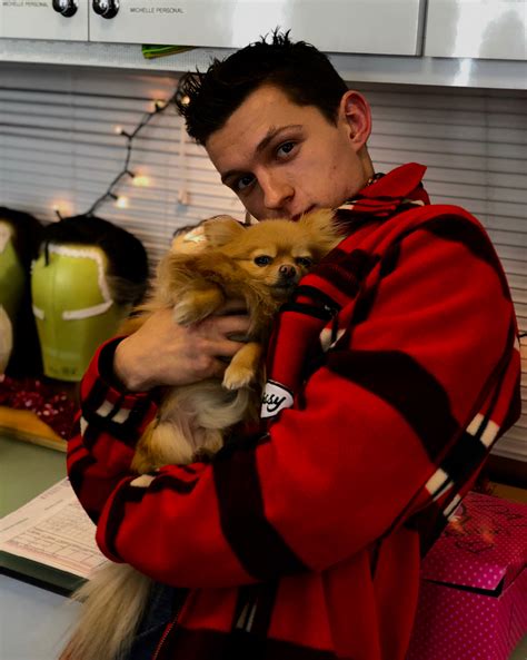 See more ideas about tom holland, tom holland tom holland cute. Tom Holland holding a cute dog : LadyBoners