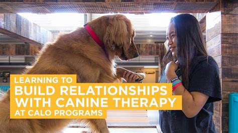 Canine Therapy At Calo Youtube