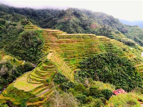 2000 Year Old Rice Terraces Banaue Philippines The Eighth Wonder Of