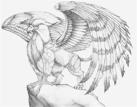 Gryphon By Twopinkelephants On Deviantart Mythical Creatures Drawings