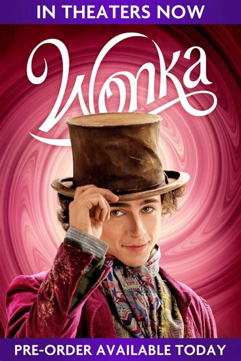 Wonka 2023 DVD Starring Timothée Chalamet Walmart