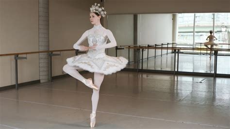 Een Balletpas De Pirouette En Dehors Oefening Dans Is Voor