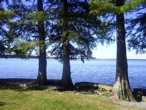 Reelfoot Lake State Park Tiptonville 2018 All You Need To Know
