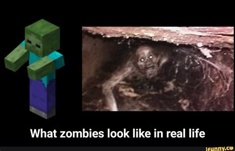 What Zombies Look Like In Real Life What Zombies Look Like In Real