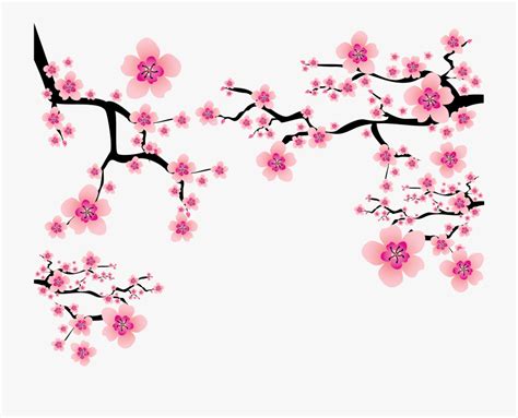 Free Cherry Blossom Cliparts Download Free Cherry Blossom Cliparts Png Images Free Cliparts On