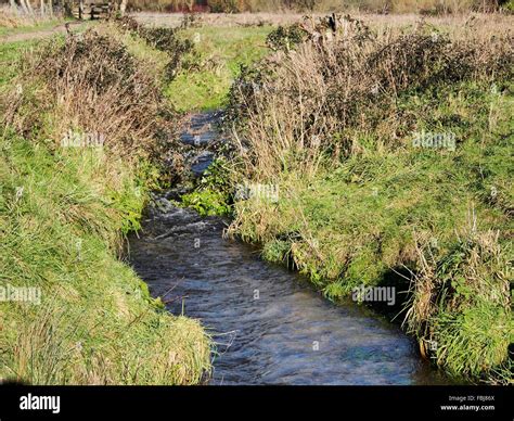 A Small Leat Taking Water From The River Itchen Into Water Meadows On