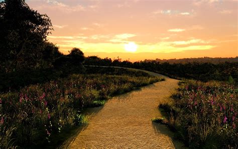 Landscape Photography Of Pathway With Grasses On Sides During Golden