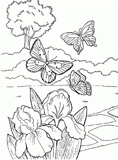 In this site you will find a lot of coloring pages in many kind of pictures. Butterfly Gareden Free Coloring Pages, Preschool ...