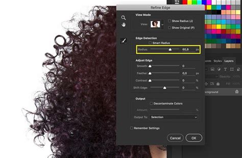 How To Use The Refine Edge Tool In Photoshop Step By Step