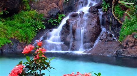 Free Photo Beautiful Waterfall Beautiful Natural Nature Free