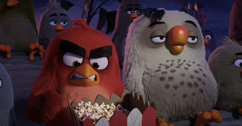The Angry Birds Movie Trailer Jason Sudeikis Has A Serious Anger