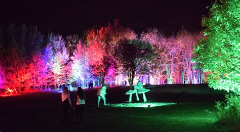 Thank You Night Lights At Griffis Sculpture Park 2022 Sitlerhq