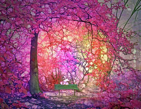 The Bench That Dreams Beneath The Pink Trees Digital Art