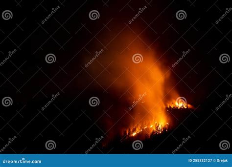 Forest Wildfire At Night Stock Image Image Of Blaze 255832127