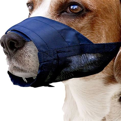 Pin On Best Dog Muzzles