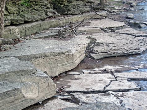 Fossiliferous Limestone Columbus Limestone Middle Devoni Flickr