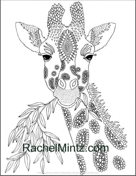 Adorable Giraffes Coloring Page Rachel Mintz Coloring Books