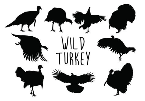 Turkey Silhouette Svg Free 223 Dxf Include