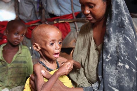 Emergency Somali Famine Relief 2017 By Hussein Ali Gofundme