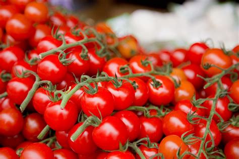 Cómo Cultivar Tomates Cherry Hogarmania