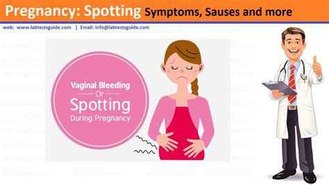 Pregnancy Spotting Symptoms Sauses And More Lab Tests Guide
