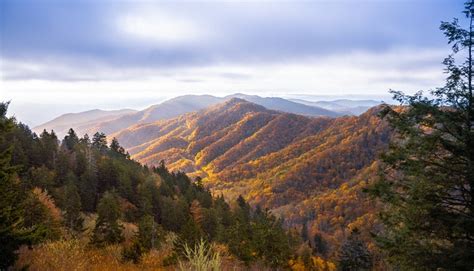 Best Spots For Capturing Fall Foliage In The Smoky Mountains