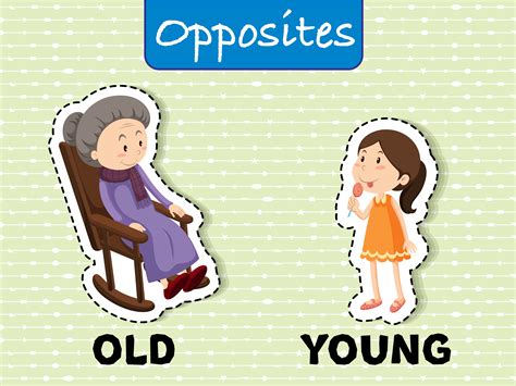 Opposite Words For Old And Young 302192 Vector Art At Vecteezy