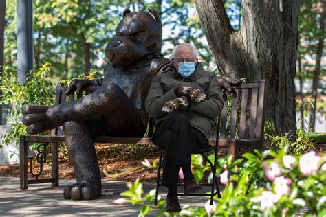 The Bernie Sanders Sitting Meme’s Instant Popularity Explained By Science The Brink Boston