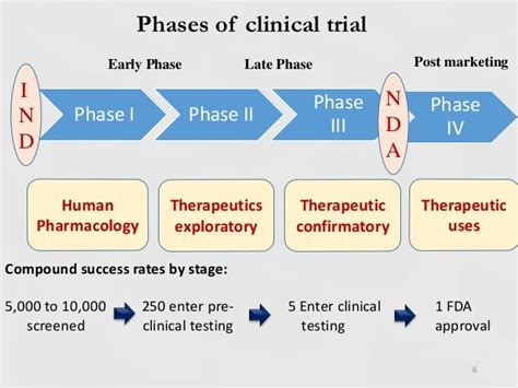 Phases Of Clinical Trial 11914