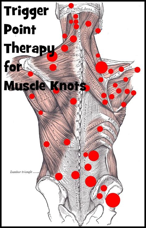 Effective Trigger Point Therapy For Muscle Knots Massage Tips Massage